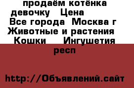 продаём котёнка девочку › Цена ­ 6 500 - Все города, Москва г. Животные и растения » Кошки   . Ингушетия респ.